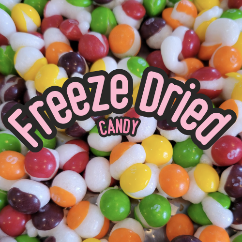 Wholesale Freeze Dried Wild Berry Skittles  Freeze Dried Candy Bucket for  your store - Faire Canada